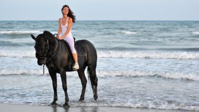 Marinera con caballo de paso fondo blanco