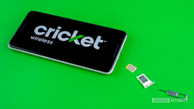 cricket phones