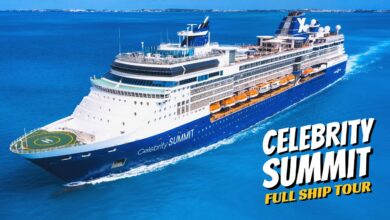 celebrity summit