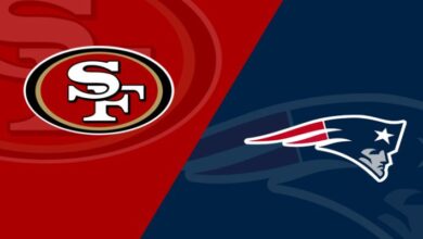 new england patriots vs 49ers match player stats