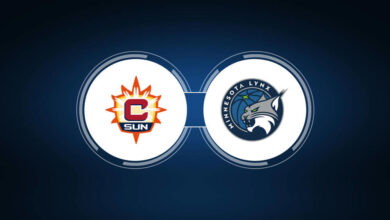 minnesota lynx vs connecticut sun match player stats