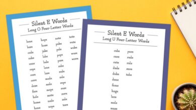 long vowel silent e words