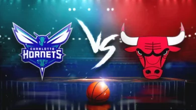 charlotte hornets vs chicago bulls match player stats​