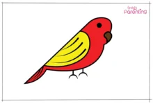 how to draw a bird easy​